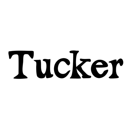 Tucker Digital Font OTF Downloadable File Handwritten